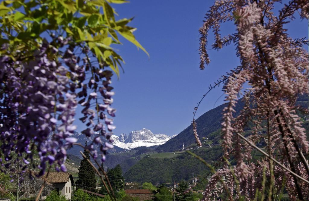 Hotel Rentschnerhof Bolzano Ngoại thất bức ảnh